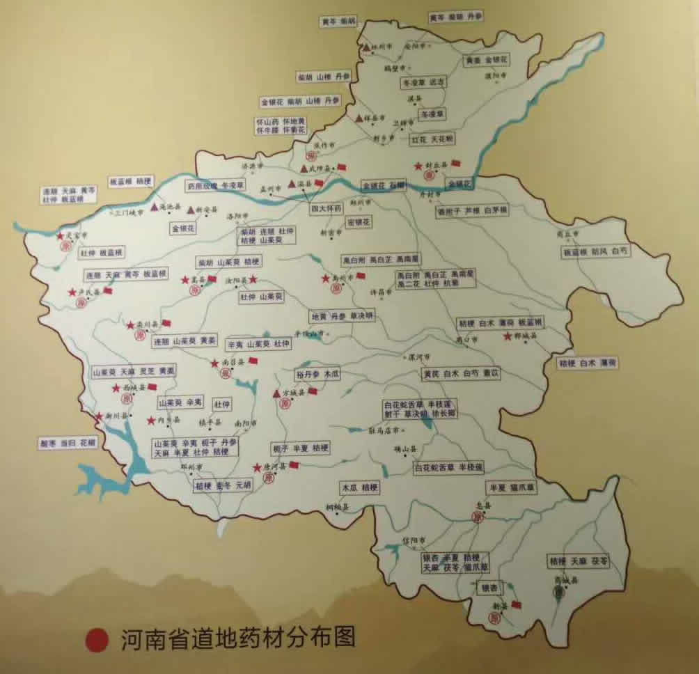 河南道地药材