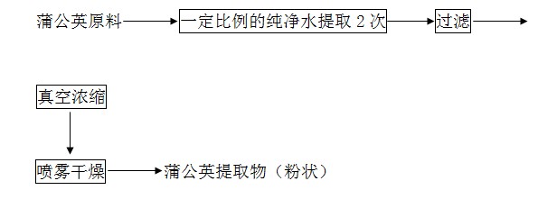 蒲公英提取物提取工艺流程