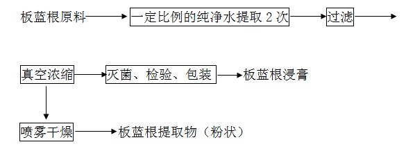 板蓝根提取物提取工艺